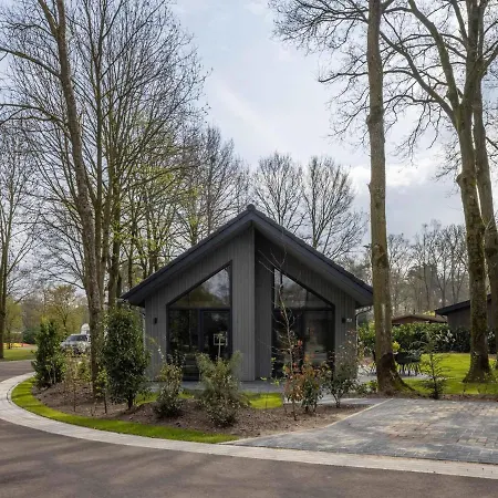 Beautiful At The Edge Of The Forest, Located In A In Brabant Oirschot
