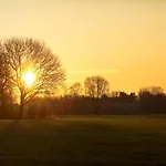 Tatil Evi Eco Near Forest In Netherlands Oirschot