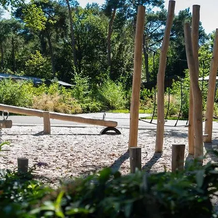 Eco Near Forest In Netherlands *