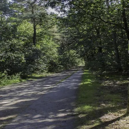 度假居 Eco Near Forest In Netherlands 奥斯楚特