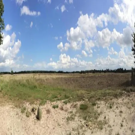 Eco Near Forest In Netherlands בית נופש