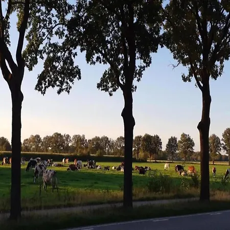 Eco Near Forest In Netherlands 度假居 *