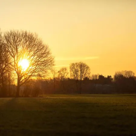 度假居 Eco Near Forest In Netherlands 奥斯楚特