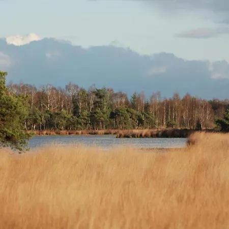 Eco Near Forest In Netherlands *