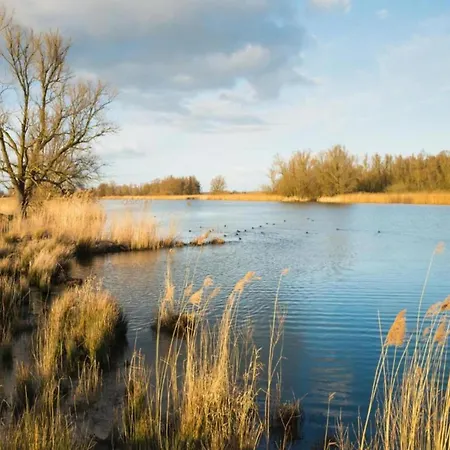Eco Near Forest In Netherlands Dom wakacyjny Oirschot