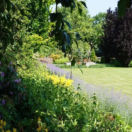 度假居 Eco Near Forest In Netherlands 奥斯楚特
