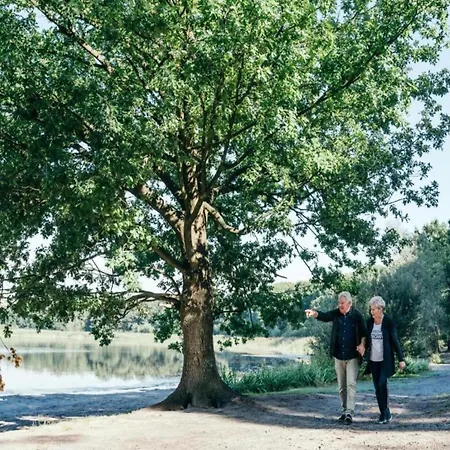 Eco Near Forest In Netherlands Dom wakacyjny