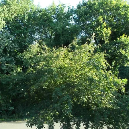 度假居 Eco Near Forest In Netherlands *