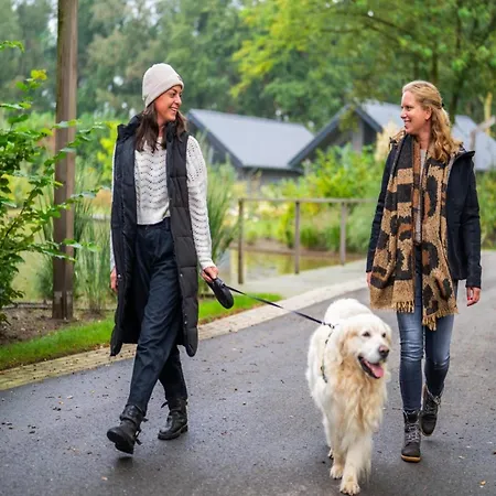 Eco Near Forest In Netherlands * Oirschot