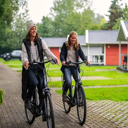 Eco Near Forest In Netherlands