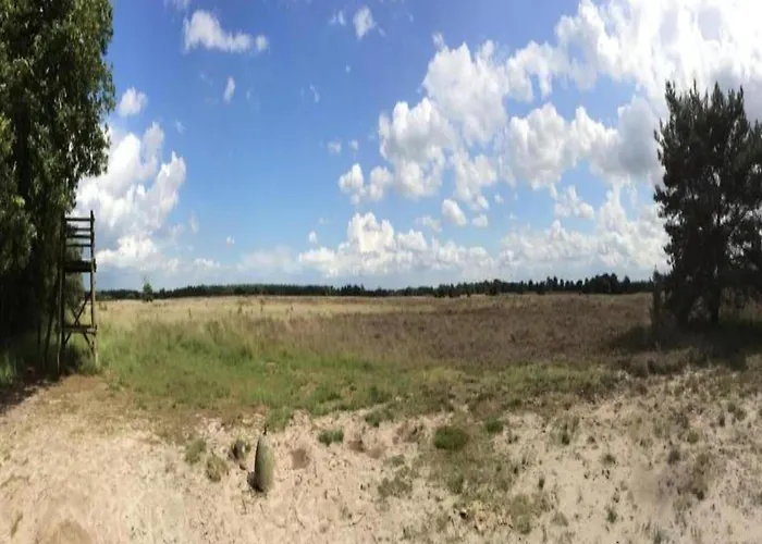 Eco Near Forest In Netherlands Dom wakacyjny