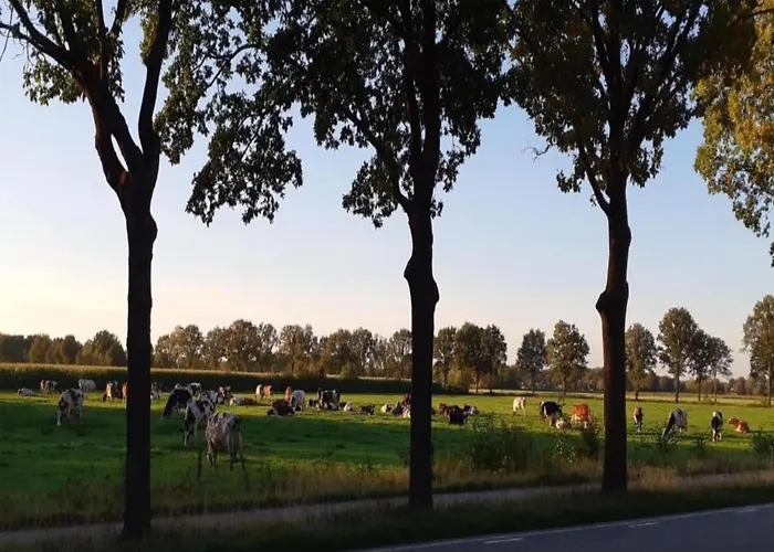 Eco Near Forest In Netherlands Dom wakacyjny *