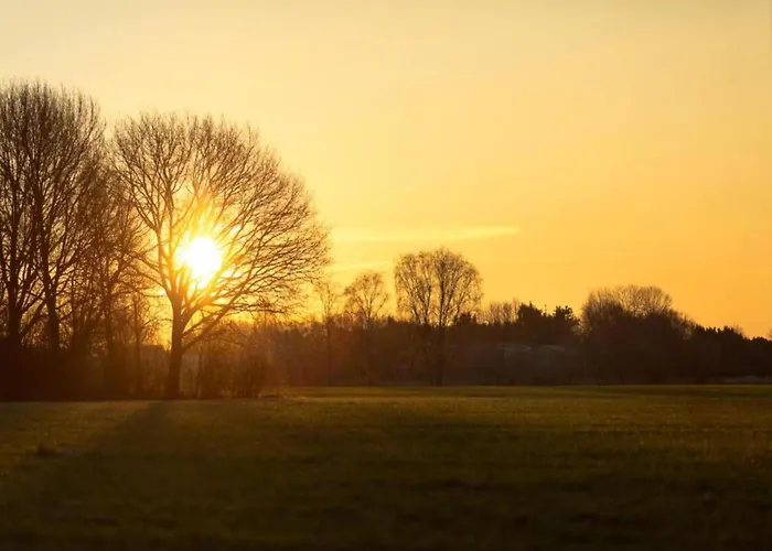 Dom wakacyjny Eco Near Forest In Netherlands Oirschot