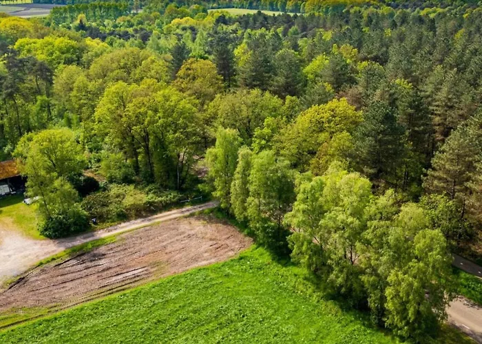 Eco Near Forest In Netherlands Dom wakacyjny