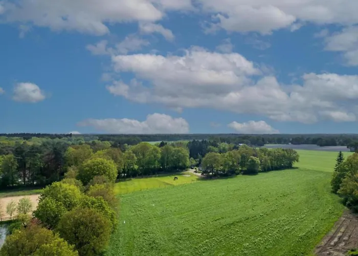 Eco Near Forest In Netherlands Dom wakacyjny *