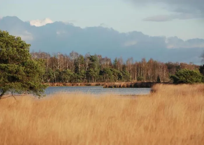 Eco Near Forest In Netherlands *