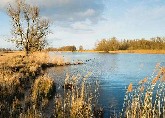 Eco Near Forest In Netherlands Dom wakacyjny Oirschot