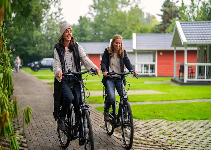 Eco Near Forest In Netherlands