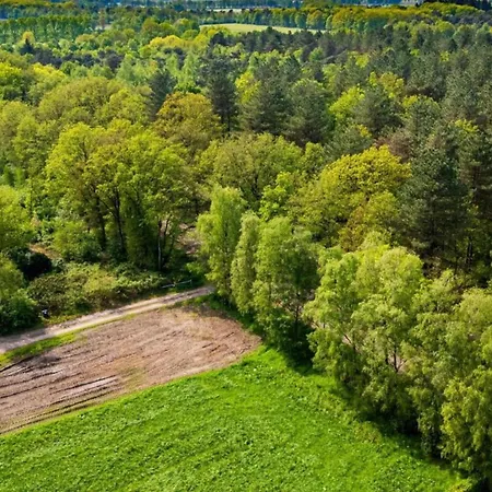 Eco Near Forest In Netherlands Casa de Férias